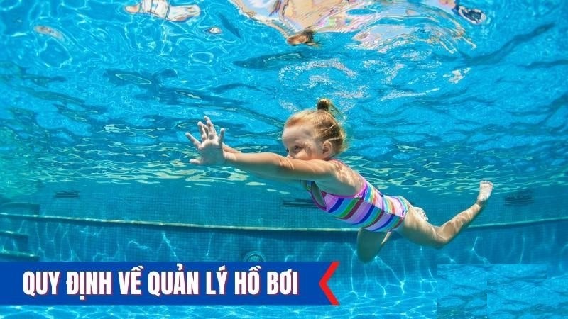 Đội ngũ huấn luyện viên dạy bơi phải đảm bảo các tiêu chí theo yêu cầu